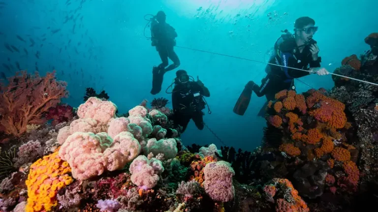 raja ampat