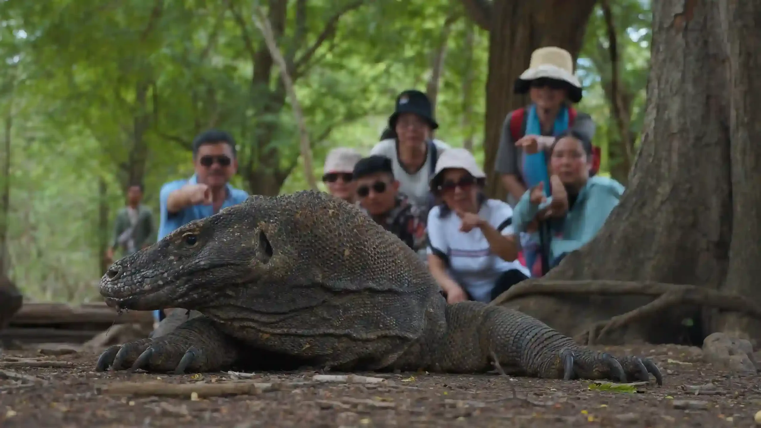 Rinca or Komodo Island: Where You Actually See the Dragons