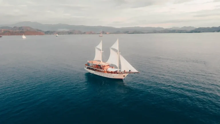 Image of Elbark Cruise Drone
