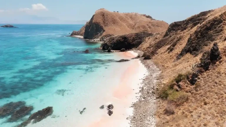 Pink Beach Komodo: Why It Is Pink and What to Do There