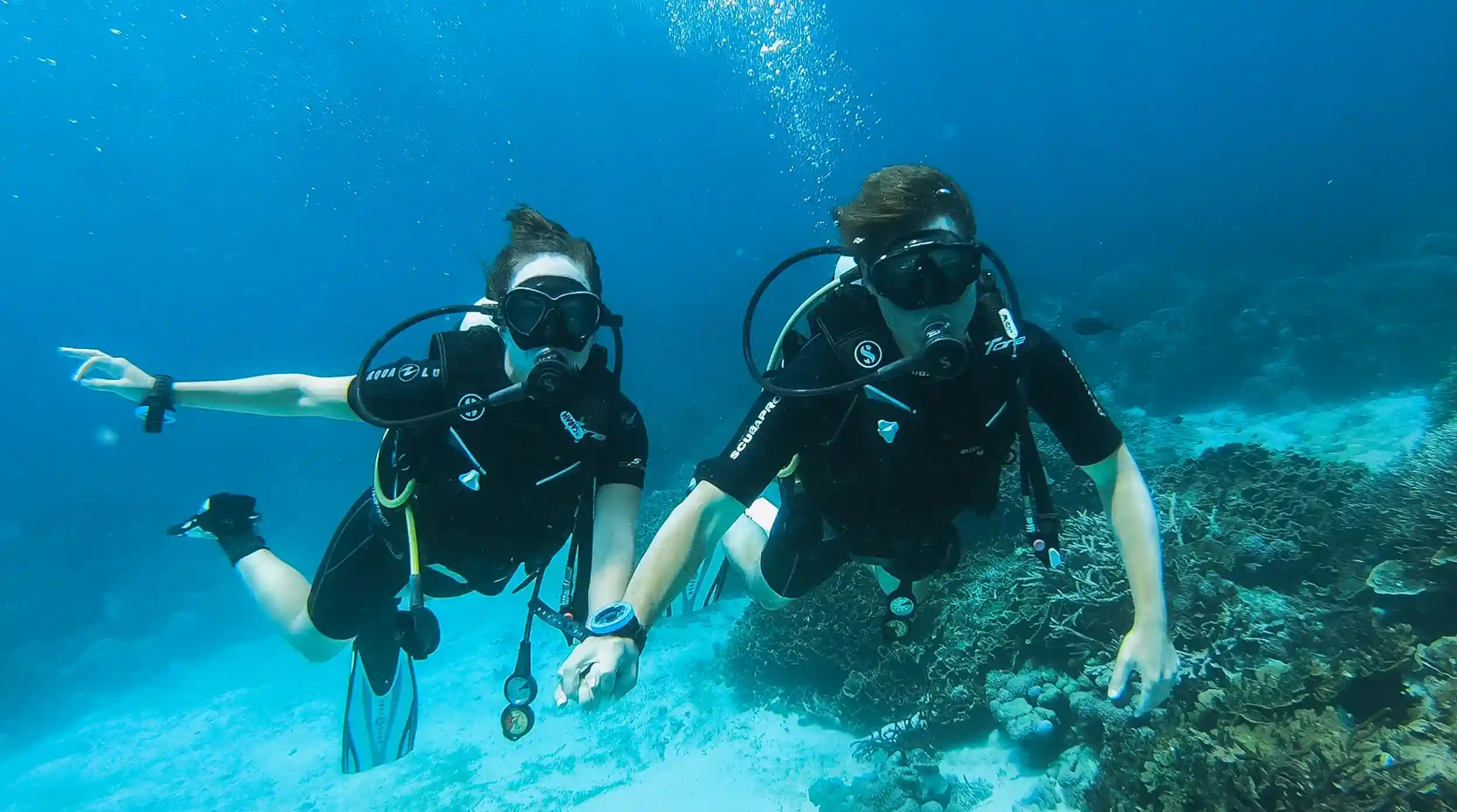 Diving in Komodo | Yumana Liveaboard