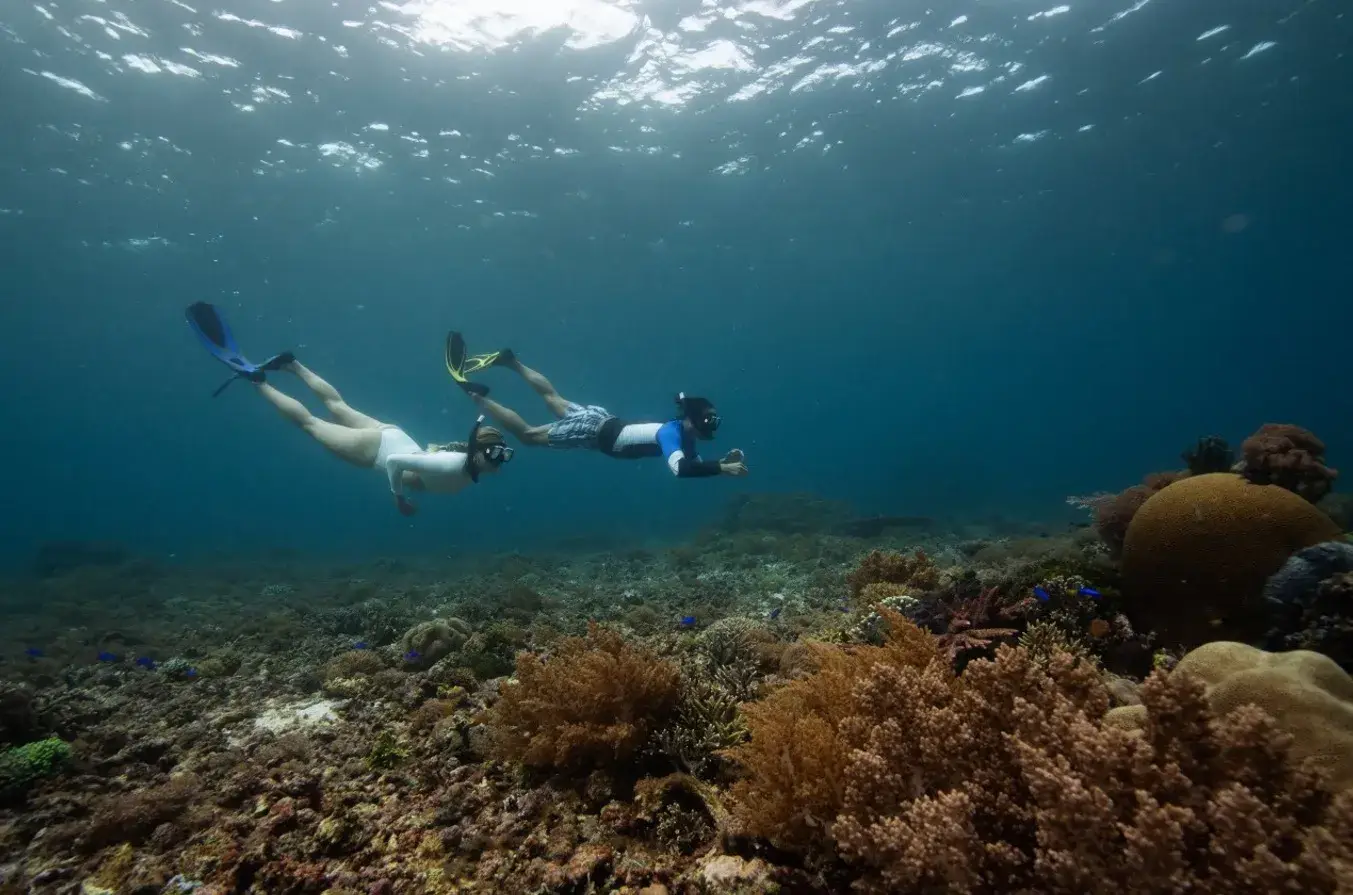 Snorkeling in Komodo National Park Water